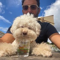 Stecca Sim (@steccasim) 's Twitter Profile