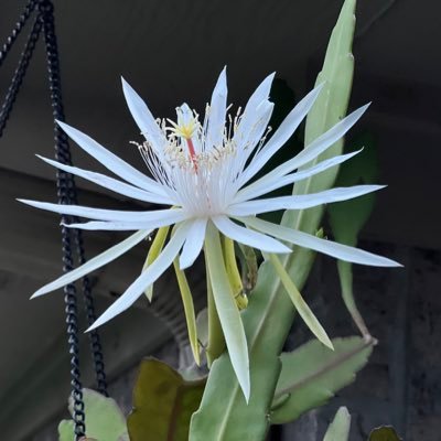 MeganMaggieMay1's profile picture. Tempus Fugit
...finding peace in the chaos