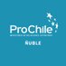ProChile Ñuble (@ProChile_Nuble) Twitter profile photo