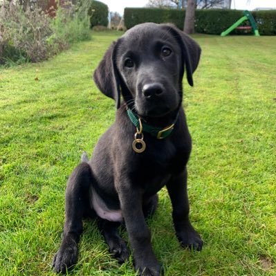 tony_thb74's profile picture. 