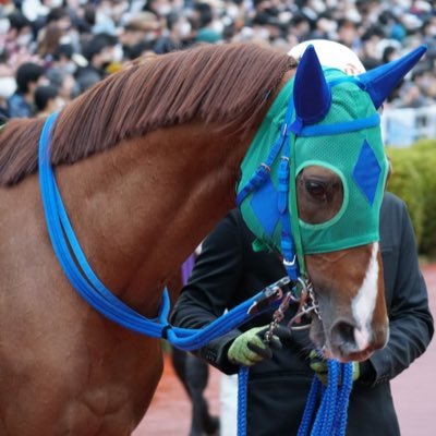 恥の多い人生 ⊿ 30⊿ INFJ-T⊿ Perfumeの粒・かっしかし⊿ MGA・EXID・XG・GOT7・BTS・HANA・AG!・椎名林檎⊿下水・ねぇね・kindred・Deadbeats・おちょまだち