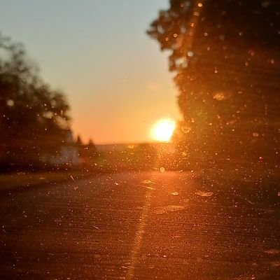 AaronMc10461616's profile picture. Viewing the world through a Twitter lense