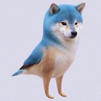 xxxxyyyy99's profile picture. aaa