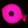 Cediot-AccountAbandonned (@cediot1) 's Twitter Profile Photo Cediot-AccountAbandonned (@cediot1) 's Twitter Profile Photo