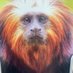 Steven Browder (@sbrowder_trader) Twitter profile photo Steven Browder (@sbrowder_trader) Twitter profile photo
