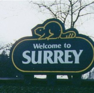 DianneMegaWatts's profile picture. Fighting the power in BC’s Second City for over a decade.