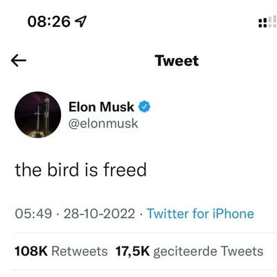 MacnCheeseCoin's profile picture. 