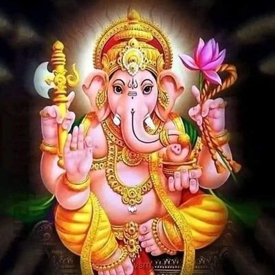 BDJoshi94544988's profile picture. 