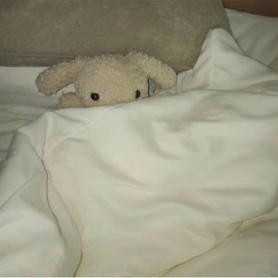 asagakiraiyo's profile picture. 朝がきらい