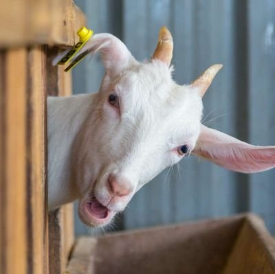 valjanot94's profile picture. 