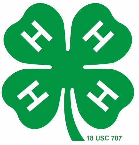 RutherfordCo4H's profile picture. Rutherford County 4-H is a youth organization that teaches life skills to youth in 4th - 12th grades while having fun.