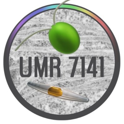 Chloroplast Biology and Light-sensing in Microalgae
dir @AFalciatore
UMR7141 @CNRS @Sorbonne_Univ_ @IBPCf

join us: https://t.co/0QQh6Tp2qm…