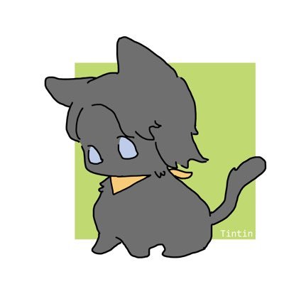 Tintinさんのプロフィール画像