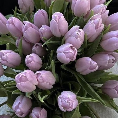 ghiziwizi's profile picture. ewa ja