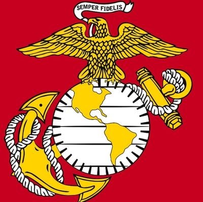 Dad to 2 beautiful & athletic girls. Husband of 33 years. Veteran of the Gulf War. Marine forevah! #GirlDad #SeeHerGreatness 🥎 ⚽ 🇺🇦