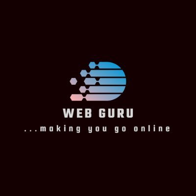webguru997's profile picture. 