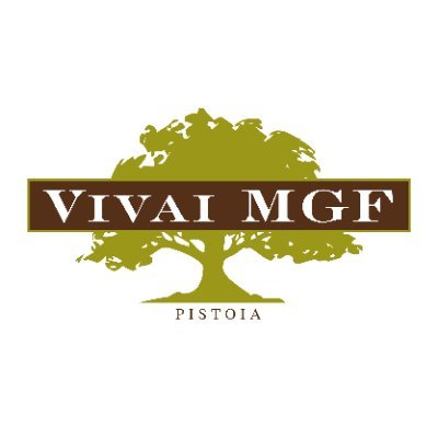 vivaimgf Profile Picture