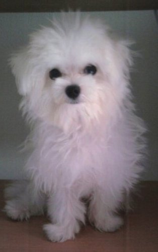 Xxxiaooo_oooLin's profile picture. 