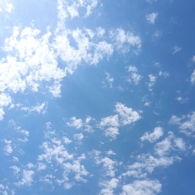 تو پای به راه در نه و هیچ مپرس ، خود راه بگویدت که چون باید رفت