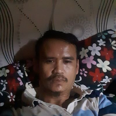 ivish_stevanius's profile picture. 