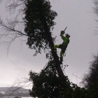 Vilden (@rostadvilde) 's Twitter Profile