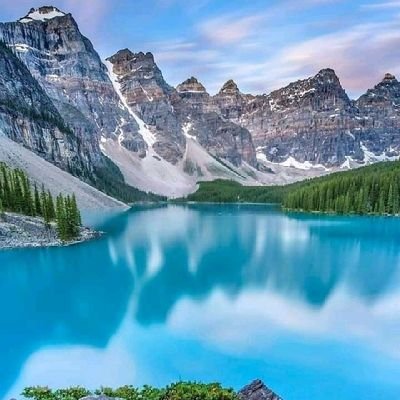 Mdm641Mdm's profile picture. 