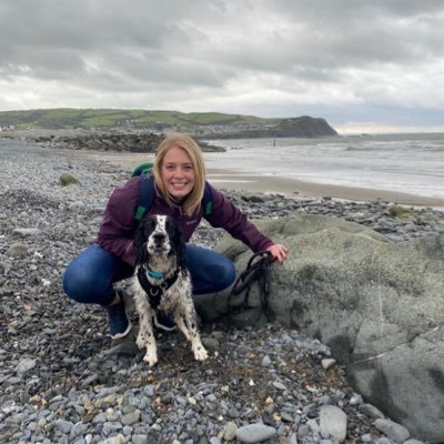 DrRach86's profile picture. Educational Psychologist and proud pooch mamma to a spirited and lively spaniel! All views are my own.