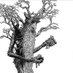 Treebeard (@treebeard55) Twitter profile photo Treebeard (@treebeard55) Twitter profile photo