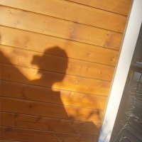 Prapti (@ewcaliptias) 's Twitter Profile Photo Prapti (@ewcaliptias) 's Twitter Profile Photo