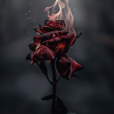 hatmaker93's profile picture. 