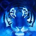 luis monzon (@luismon47039551) Twitter profile photo luis monzon (@luismon47039551) Twitter profile photo