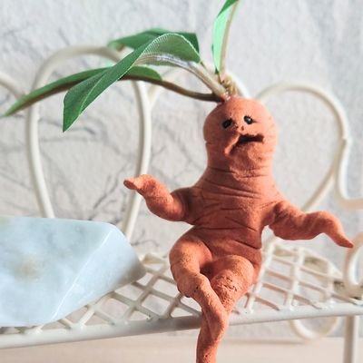 暁（あき）/からまるまーご