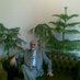 Abolghasem Farahani (@abolghasemfara1) Twitter profile photo Abolghasem Farahani (@abolghasemfara1) Twitter profile photo