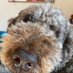 Christy Climenhage (@crcwriting) Twitter profile photo Christy Climenhage (@crcwriting) Twitter profile photo