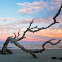 Jekyll Island Happened (@kpburneracct) 's Twitter Profile