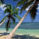 Suzy Sanchez - @suzysanchez24 - Twitter