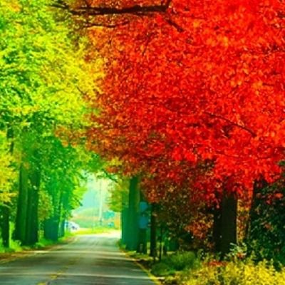 Je marche de gloire en gloire.
Les couleurs d'automne m'ont été 
une grande source d' inspiration 
plastique et créative.
