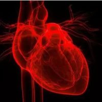 NUH heart failure specialist nurses 💔》💓 (@hfnursesnuh) 's Twitter Profile
