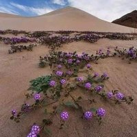 khider 0987 (@khider0) 's Twitter Profile