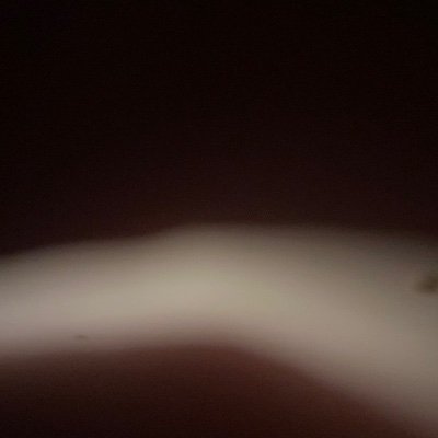 su24563970's profile picture. 