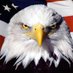 Legal Beagle🇺🇸💪🇺🇸 (@legalbeagle_usa) Twitter profile photo Legal Beagle🇺🇸💪🇺🇸 (@legalbeagle_usa) Twitter profile photo