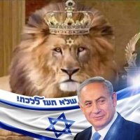 VeredIsraeliev(@israelievvered) 's Twitter Profile Photo