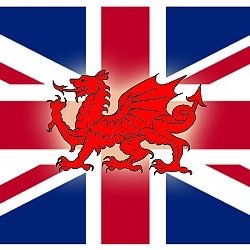 Welsh British Patriot Man  Likes the Ladies and Trans Ladies Love Britain Love Commonwealth would Love to see the empire strike back  Civilise the World 🇬🇧🐑