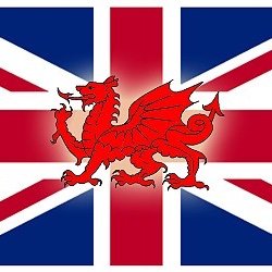 Welsh British Patriot Man Likes the Ladies and Trans Ladies Love Britain Love Commonwealth would Love to see the empire strike back Civilise the World 🇬🇧🐑