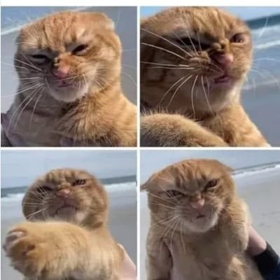 Jamesayeayewhat's profile picture. Cool motive;still murder