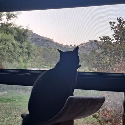 Amikemeregistrn's profile picture. Ahora ya, señora mayor del exorcista. Todos crecemos. Es lo que hay.