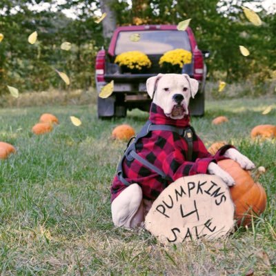 Richie07275251's profile picture. 