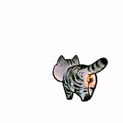 xueaozheng's profile picture. 