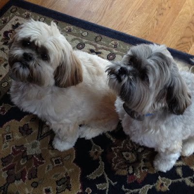 MattandBell's profile picture. 