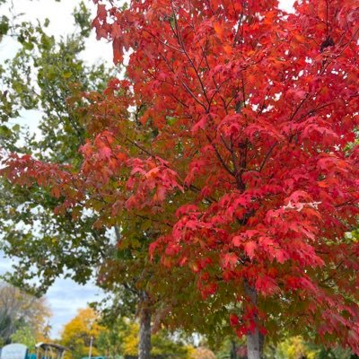 Farina975602382's profile picture. 元新橋でOL→現カナダで会社員 ✈️(2008～18年目VIP👑)